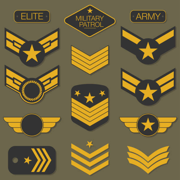 군 육군 배지 설정 인쇄 술. t 셔츠 그래픽 - air force insignia military armed forces stock illustrations