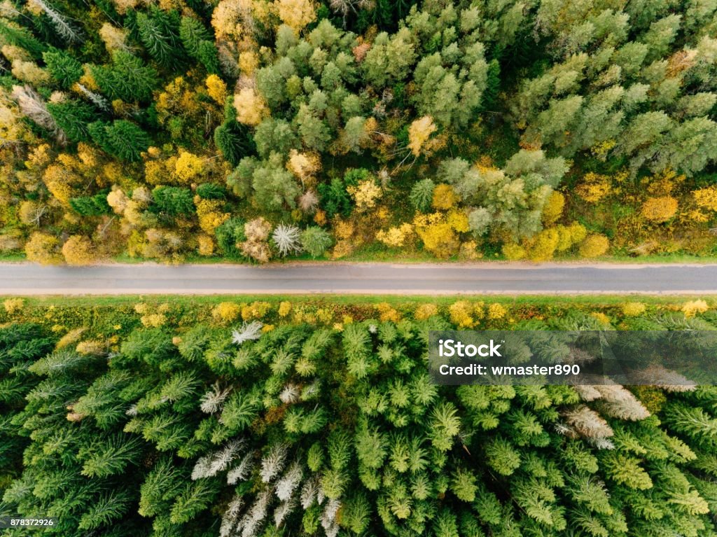 Road in the autumn forest aerial view Road in the colored autumn forest aerial view Road Stock Photo