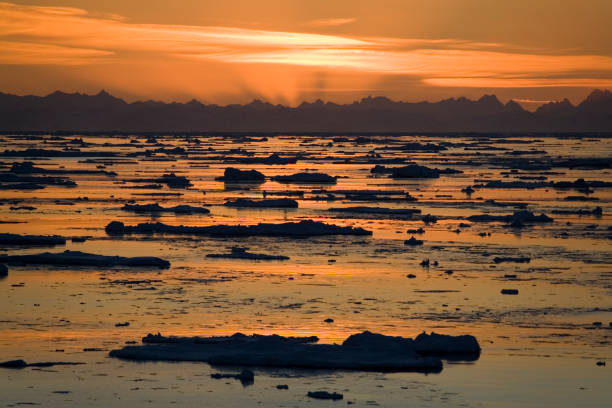 midnight sun - spitsbergen - wyspy svalbard - wysoka arktyka - svalbard islands zdjęcia i obrazy z banku zdjęć