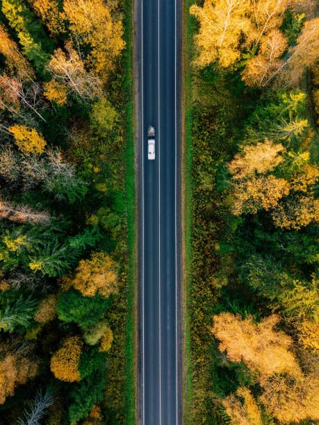 istock Road in the autumn forest aerial view 878375432