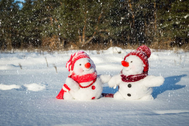 Couple of snowmen stock photo