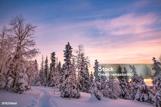 Trees Covered With Hoarfrost And Snow In Winter Mountains Stock Photo - Download Image Now