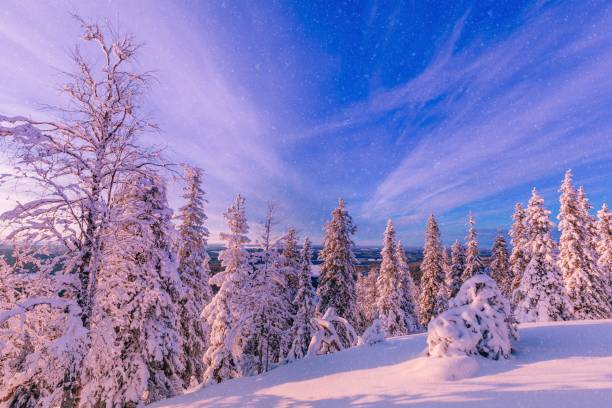 istock Trees covered with hoarfrost and snow in winter mountains 878378694