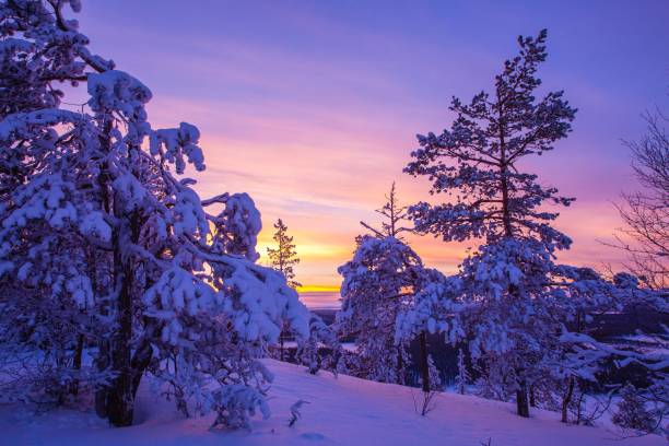 istock Trees covered with hoarfrost and snow in winter mountains 878383894