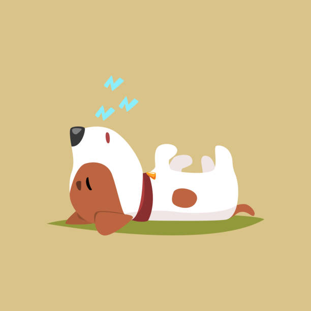 5,251 Sleeping Dog Illustrations & Clip Art - iStock | Dog sleeping in bed,  Dog, Dog bed