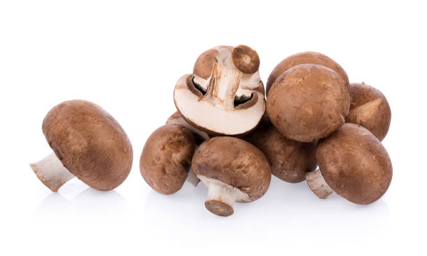 istock Mushroom champignon isolated on white background 878401654
