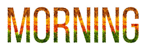 istock word morning written with leaves white isolated background, banner for printing, creative illustration of colored leaves. 878413028