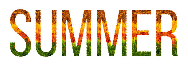 istock word summer written with leaves white isolated background, banner for printing, creative illustration of colored leaves. 878415354