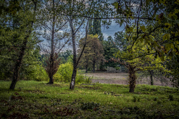 istock Autumn Landscape in Belgrade 878415696