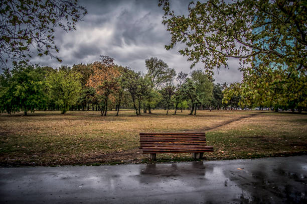 A bench in front of autumn scenery