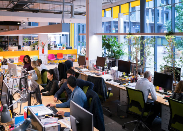 Multi-ethnic business people working in office
