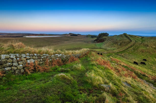 Cuddy's Crag on Hadrian's Wall Cuddy's Crag on Hadrian's Wall in Northumberland, England pennines photos stock pictures, royalty-free photos & images