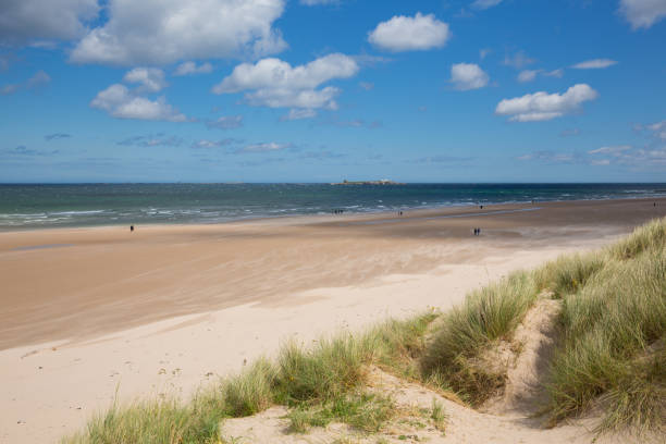 northumberland strand und küste bei bamburgh nord-ost england uk mit blick auf die farne insel - bamburgh northumberland england white beach stock-fotos und bilder