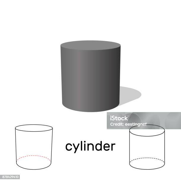 Cylinder Shape Layout Cylinder Geometric Shape Isolated On White Background Vector ...