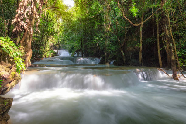 シーナカリン国立公園の熱帯雨林で美しい huay mae khamin 滝 - kanchanaburi province ストックフォトと画像