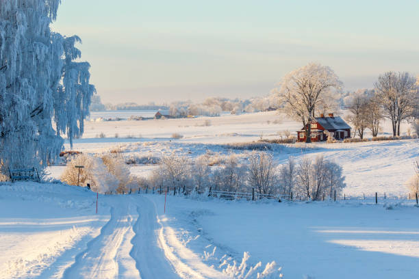 istock Snow the road in a rural landscape 878464812