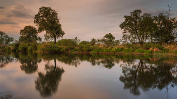 istock Warm sunset over Warta river in Warta Landscape Park, Poland. 878490312