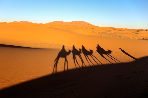 Shadows of caravan in Erg Chebbi, part of Sahara desert in Morocco.