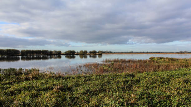 istock Landscape nieuwkoopse plassen in autumn 878493920