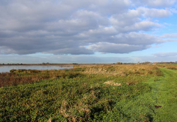 istock Landscape nieuwkoopse plassen in autumn 878493930