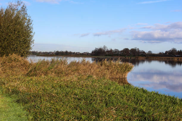 istock Landscape nieuwkoopse plassen in autumn 878493970