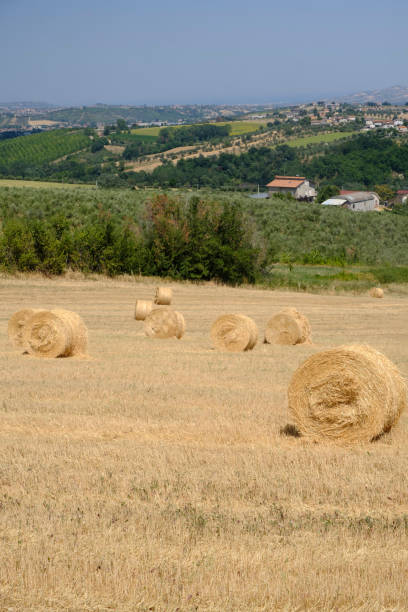 istock Landscape near Ascoli Piceno at summer 878507406