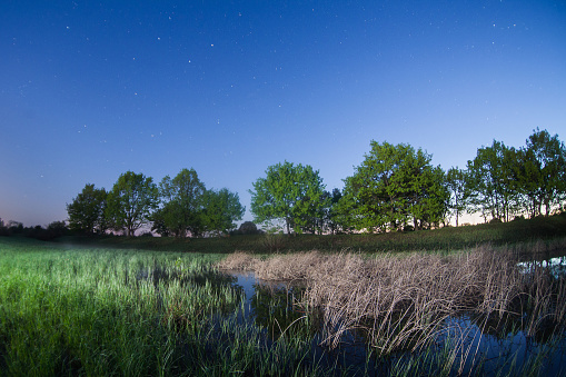 starry night, the stars over the lake, green grass, trees illuminated by a flashlight, fisheye photo, morning comes
