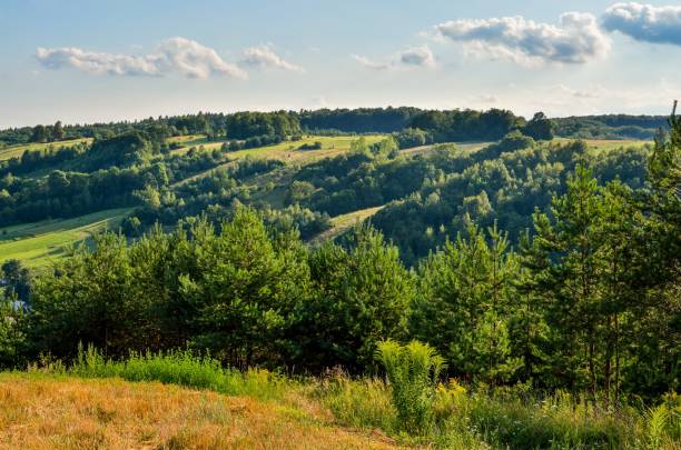 istock Natural green summer landscape. 878517362