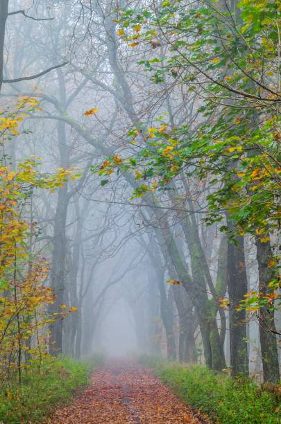 istock Beautiful autumn landscape. 878517408
