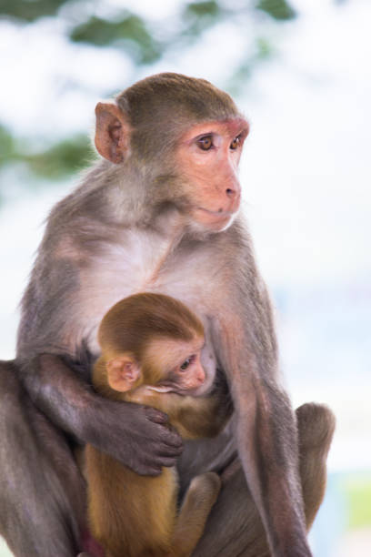 istock Mother and Child 878527160