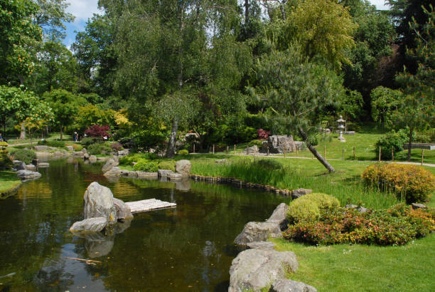 istock Japanese Garden in London 878528924