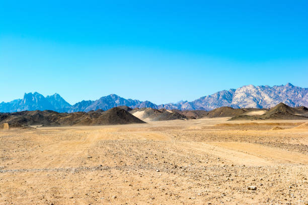istock Landscape of the Arabian desert 878534112