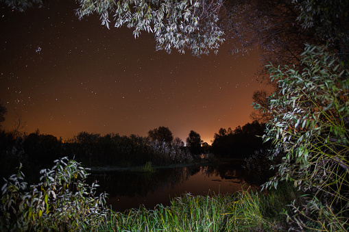 starry night, the stars over the lake, green grass, trees illuminated by a flashlight, the Milky Way