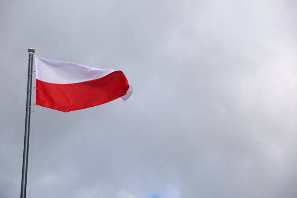 istock National flag of Poland. 878548146
