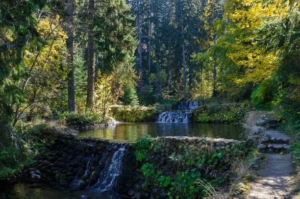 Photo of Old park Tsarska or Royal Bistritsa with terraced river, waterfall and differently trees in the venerable autumnal forest near by  resort  Borovets