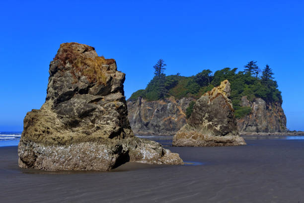 istock Beautiful Ruby Beach with rugged sea stacks in Olympic National Park 878565634