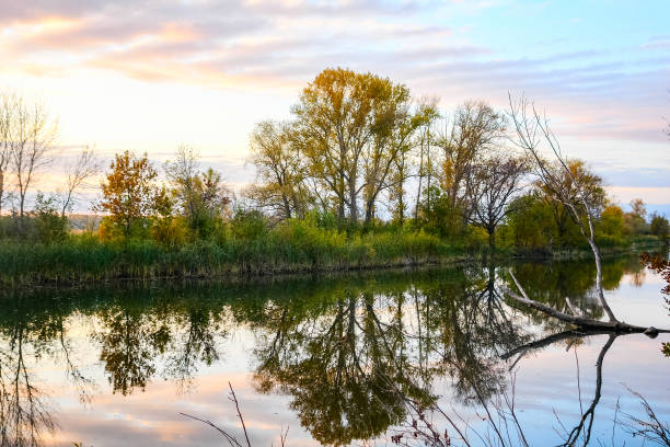 istock Forest lake in autumn forest 878566216