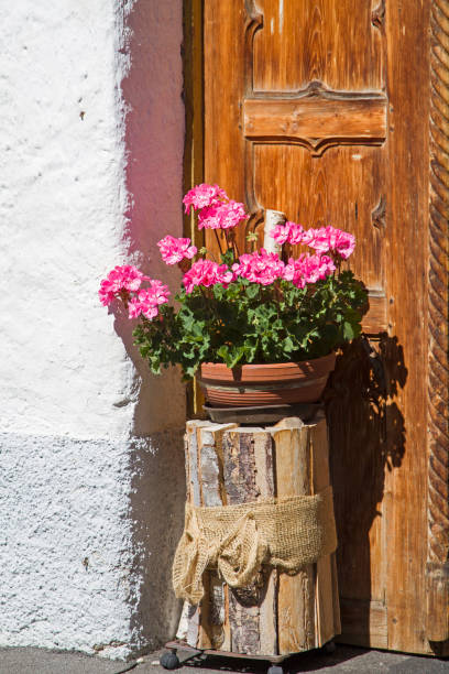 istock Still life outside the door 878579030