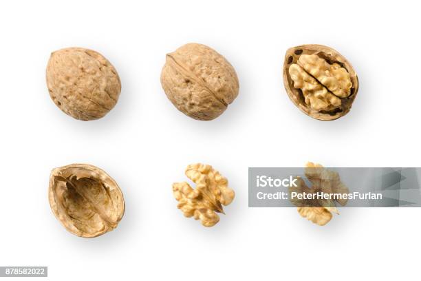 Walnuts Whole And Opened On White Background Stock Photo - Download Image Now - Walnut, Directly Above, High Angle View