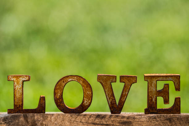 istock Rusty metal letters spelling LOVE outside against green background 878582544