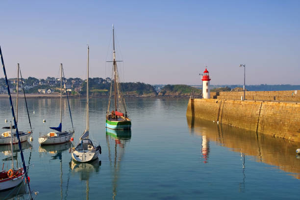 istock Erquy harbour in Brittany, France 878599890