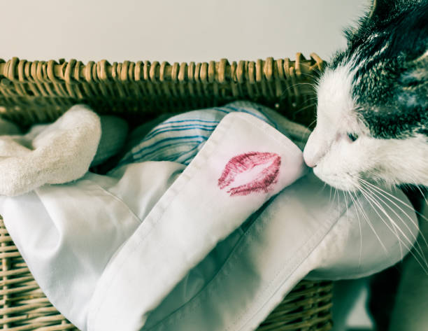 istock Cat sniffing shirt with lipstick smear 878614470
