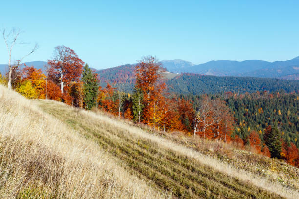istock Morning autumn Carpathians landscape. 878623548
