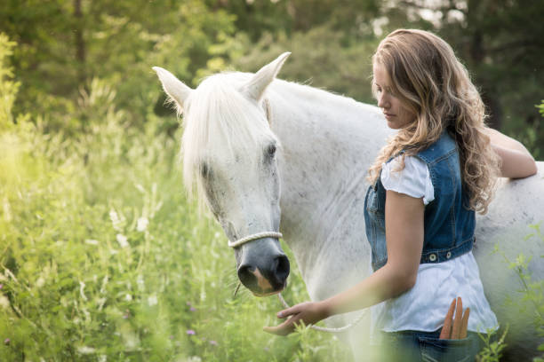 istock Girl Feeding Horse 878636726