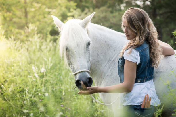 istock Girl Feeding Horse 878637766