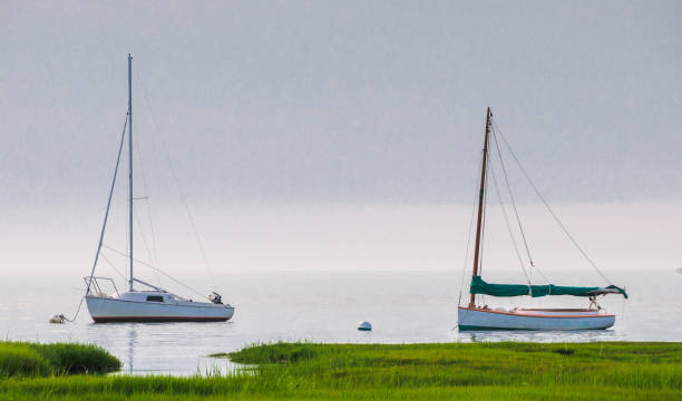 istock Foggy Evening Mooring 878638838