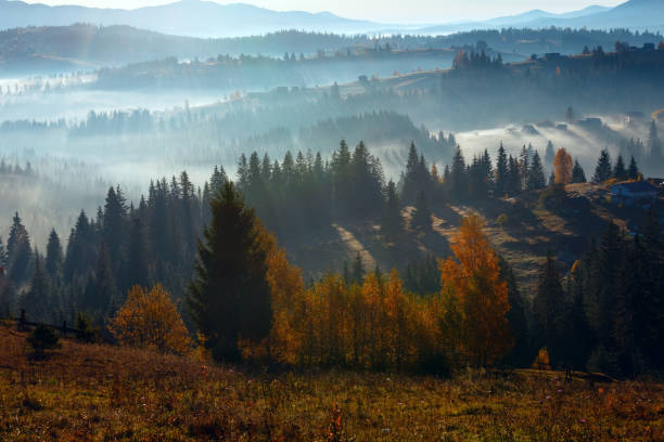 istock First rays of sun in Carpathians. 878639518