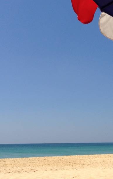 istock Blue skies and a golden beach 878644542