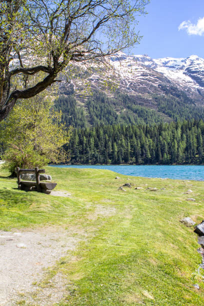 istock Alpine landscape with St Moritz lake, Switzerland 878644680