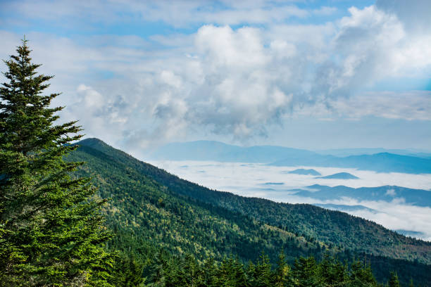 istock Beautiful foggy mountain scenery. 878650830